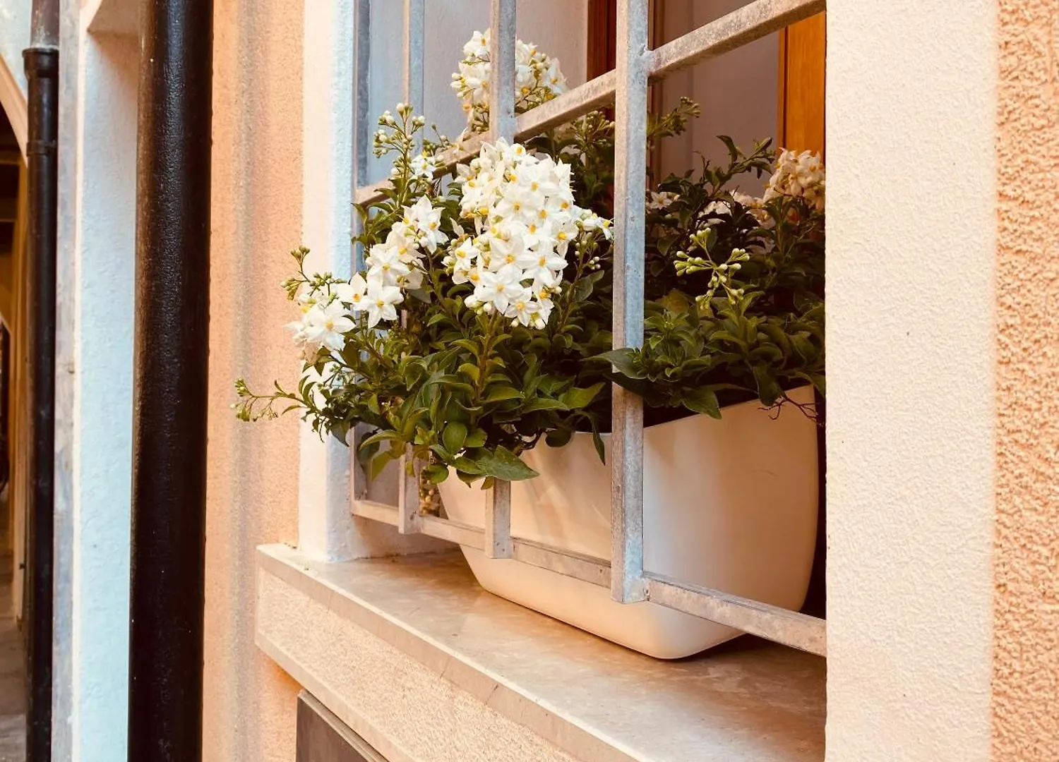Casabella Chioggia Casa Indipendente Con Corte Vakantiehuis